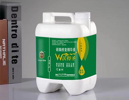 沃特圣